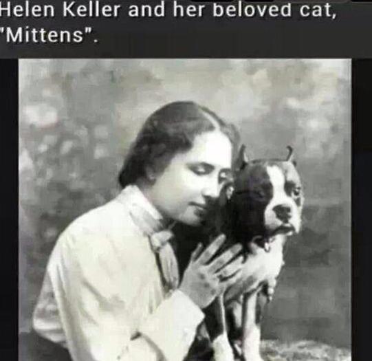 helen keller cat.jpg