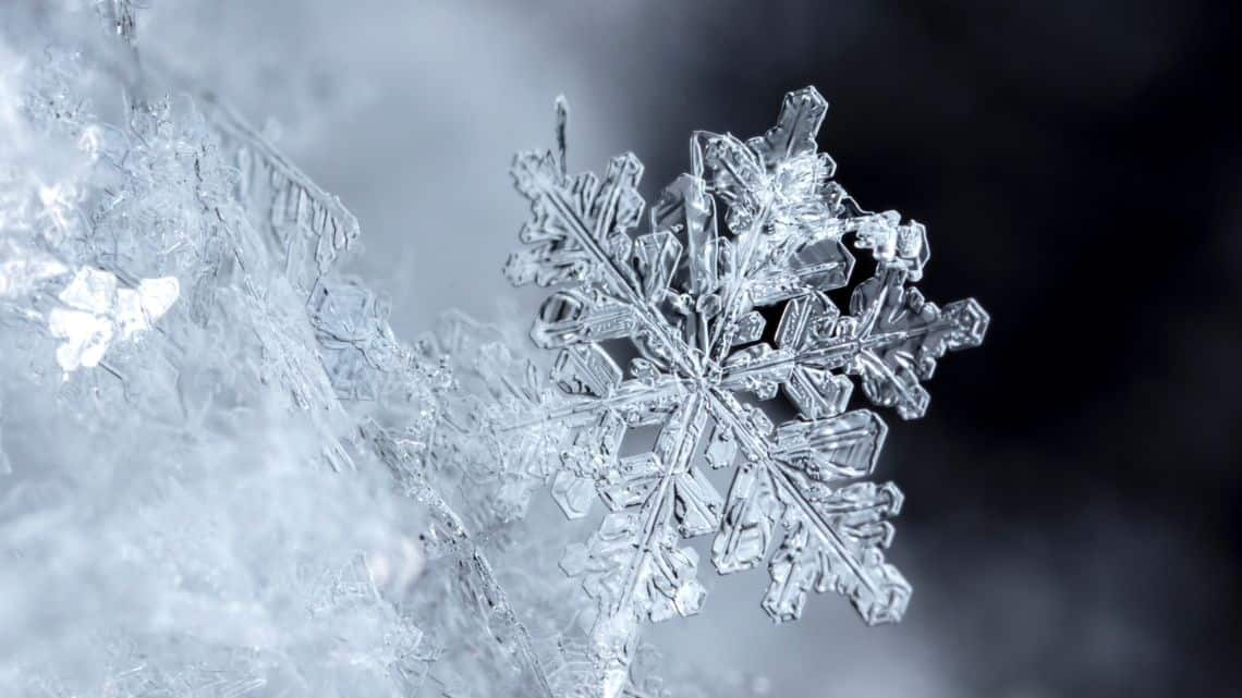 Snowflake_Closeup_Header_-_1140x641.jpg