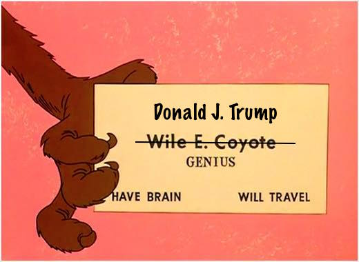 wile-e-coyote.jpg